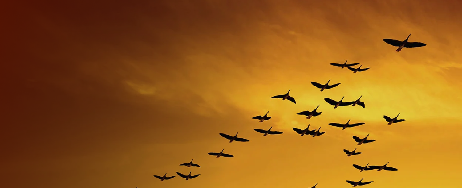  What is Cloud Migration?