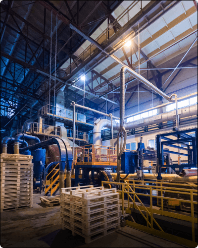 Dechen's support in Adoption of Copilot in BI